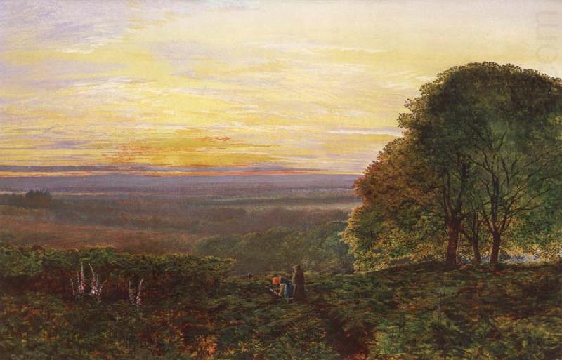 Atkinson Grimshaw Sunset from Chilworth Common china oil painting image